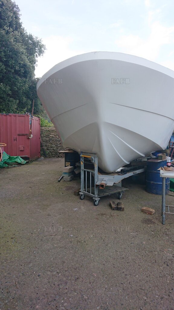 Kingfisher fastcatch 31