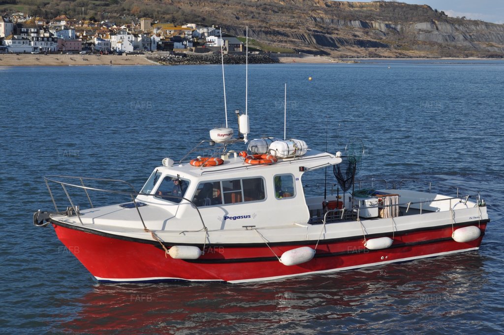 Offshore Procharter P4