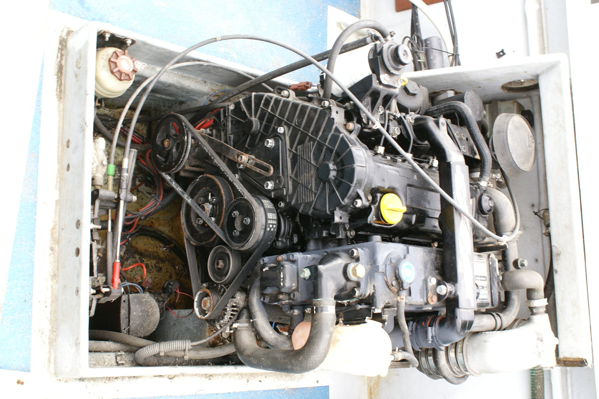 Large picture for advert 125399