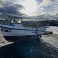Extra picture for advert 125149