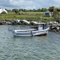 Extra picture for advert 125149